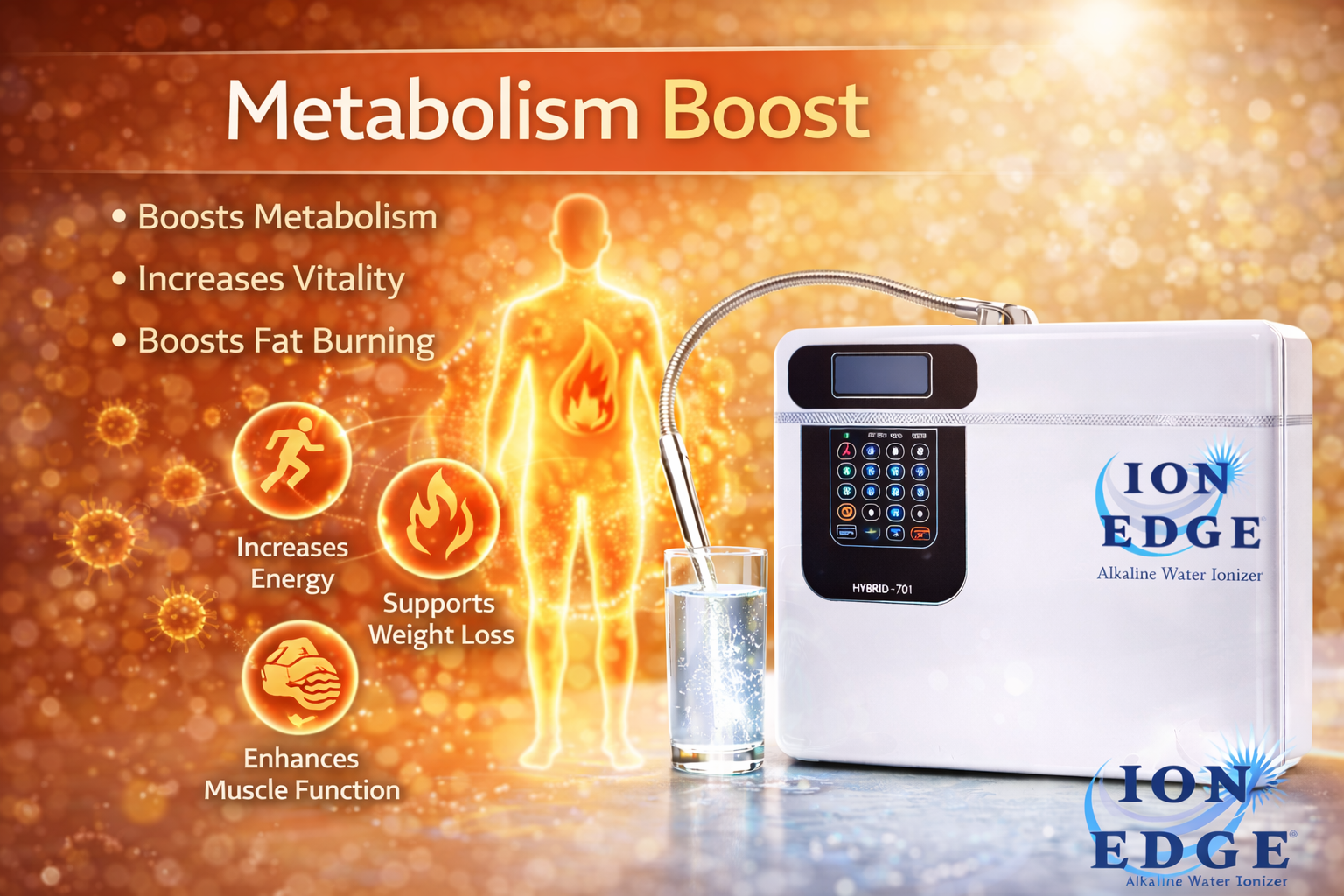Metabolism